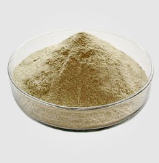 Apakah faedah ekonomi penggunaan yis autolisis dalam pengeluaran makanan?