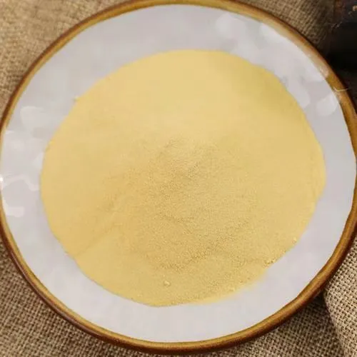 Yeast Extract HALAL